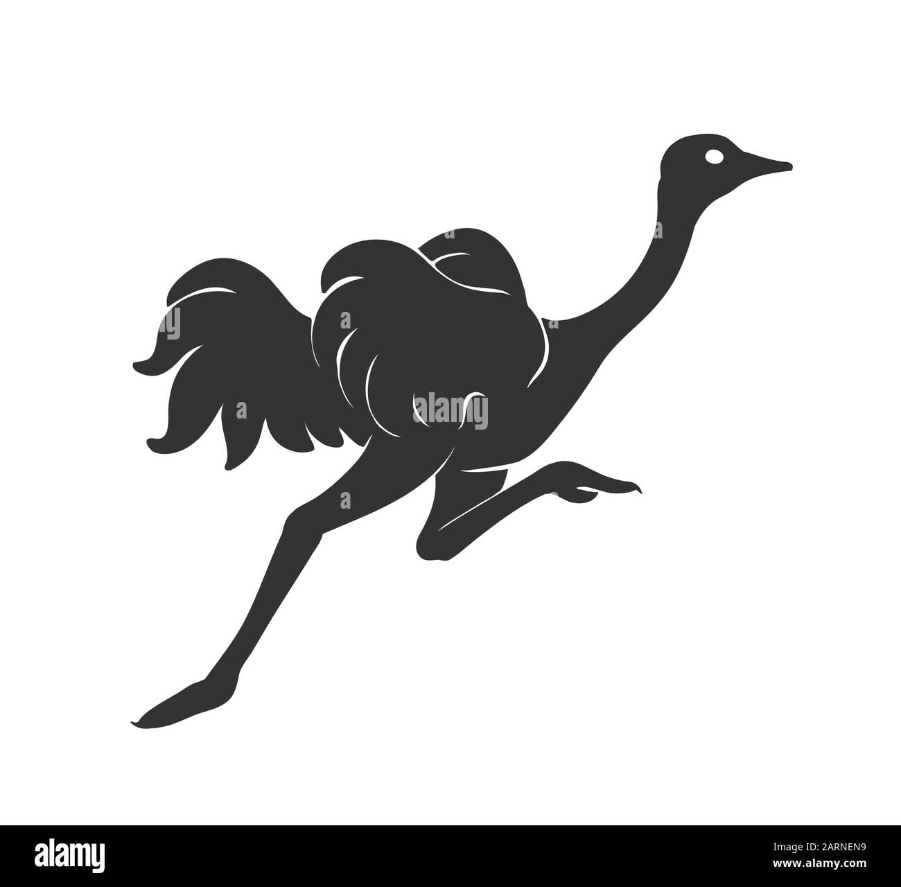 L'exécution d'Autruche vector illustration croquis de bird silhouette en noir isolated on white Illustration de Vecteur