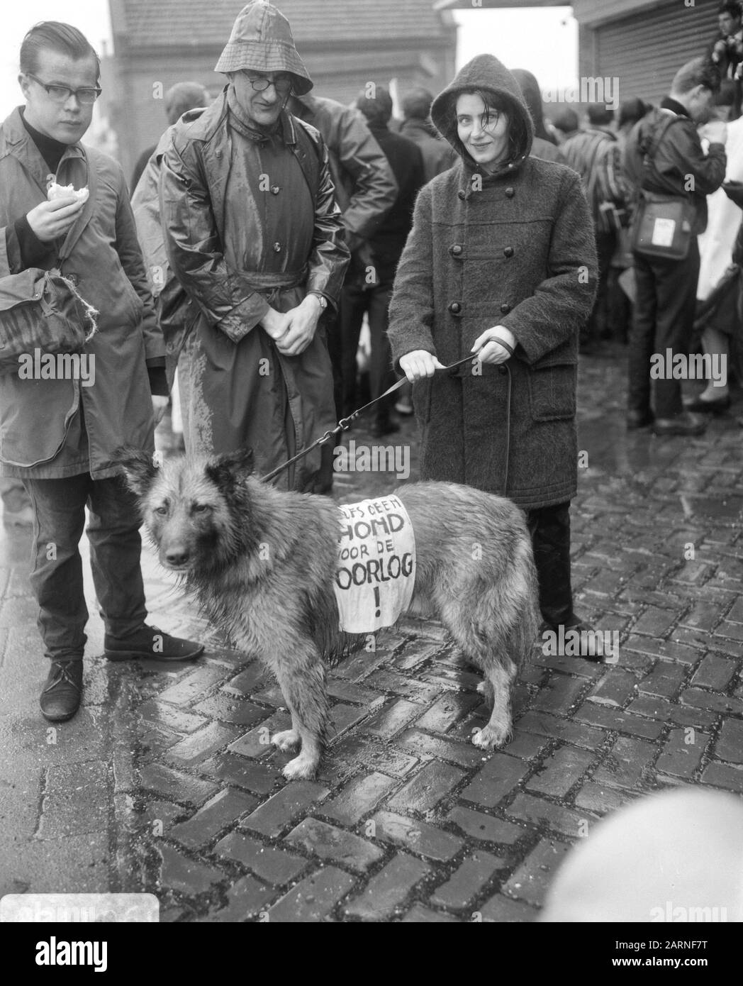 Manifestation de quatre jours contre l'Armament atomique, une paire de participants avec chien avec veste de protestation Date: 8 avril 1966 mots clés: Protestation marsen, FOURDANS, chiens Banque D'Images