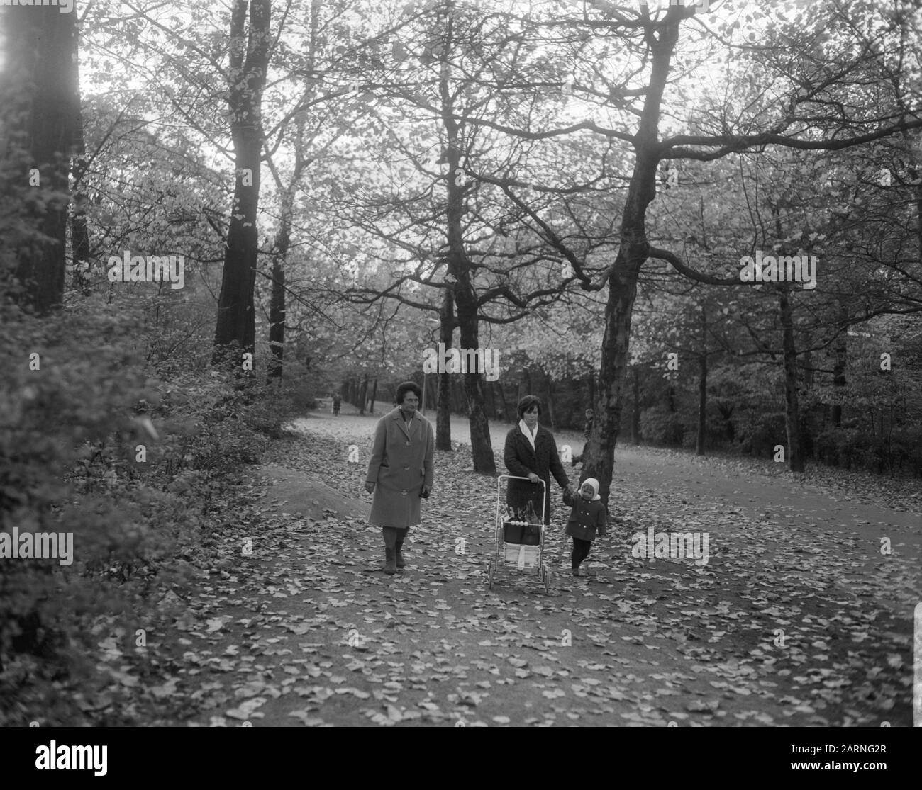 Automne à Amsterdam Vondelpark les jeunes promenades en famille dans le parc Date: 31 octobre 1966 lieu: Amsterdam, Noord-Holland mots clés: Parcs Banque D'Images