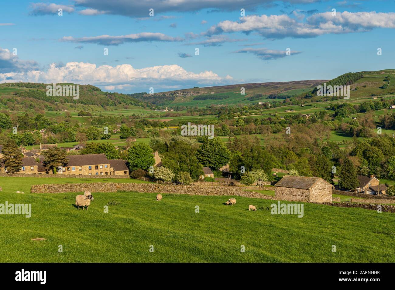 Reeth, Yorkshire du Nord, Angleterre, Royaume-Uni - 21 mai 2019: Moutons sur un pré avec le village dans le fond Banque D'Images