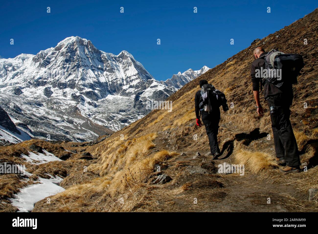Trekkers à la chaîne de montagnes Annapurna au Népal Banque D'Images