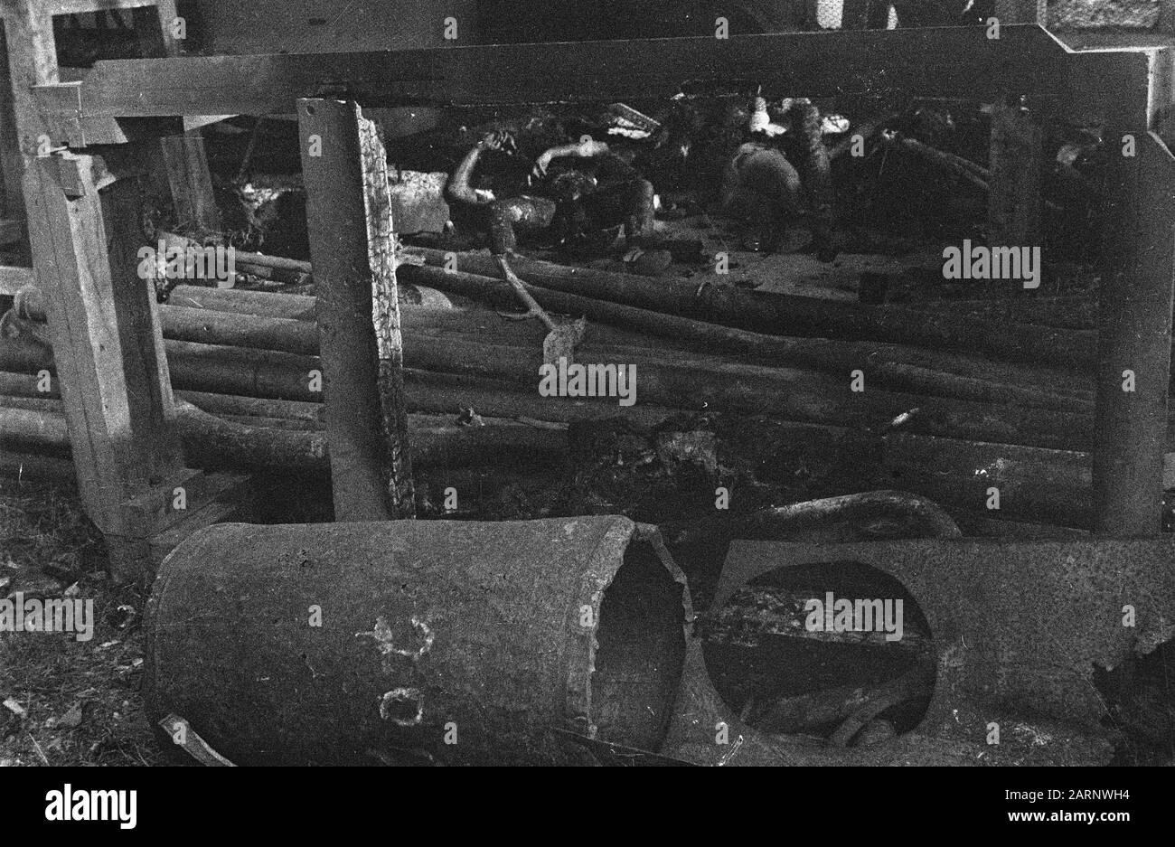 [DLC} Chinois Brûlé/Malang Dans la rue Gadang à Malang (Java est) 21 Chinois - après avoir été maltraités - sont enfermés dans une boucherie. Le bâtiment a alors été incendié, donc les Chinois ont été tués dans les flammes. L'auteur principal de ce crime odieux est une certaine Lasmoe, qui, par sa méthode d'intimidation de la population, s'est sentie si sûre qu'il a été laissé à Malang lorsque les troupes néerlandaises ont occupé cette ville. En direction de la population, il a été emprisonné pour ne pas pouvoir échapper à sa justice Date: 24 juillet 1947 lieu: Indonésie, Malang, Antilles néerlandaises de l'est Banque D'Images