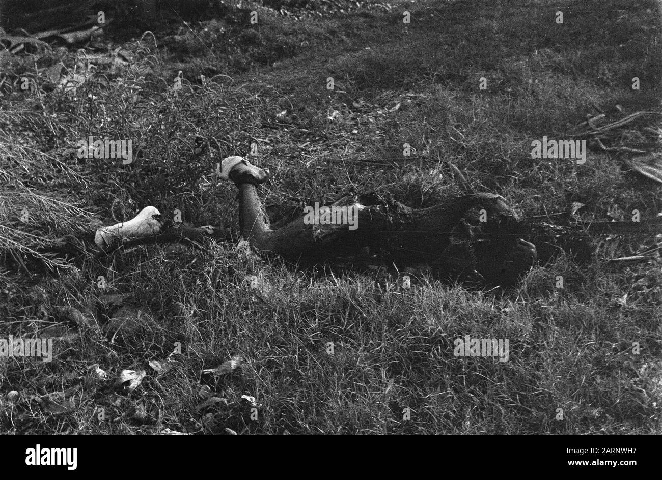 [DLC} Chinois Brûlé/Malang Dans la rue Gadang à Malang (Java est) 21 Chinois - après avoir été maltraités - sont enfermés dans une boucherie. Le bâtiment a alors été incendié, donc les Chinois ont été tués dans les flammes. L'auteur principal de ce crime odieux est une certaine Lasmoe, qui, par sa méthode d'intimidation de la population, s'est sentie si sûre qu'il a été laissé à Malang lorsque les troupes néerlandaises ont occupé cette ville. En direction de la population, il a été emprisonné pour ne pas pouvoir échapper à sa justice Date: 24 juillet 1947 lieu: Indonésie, Java, Hollandais East Indies, Tegal Banque D'Images