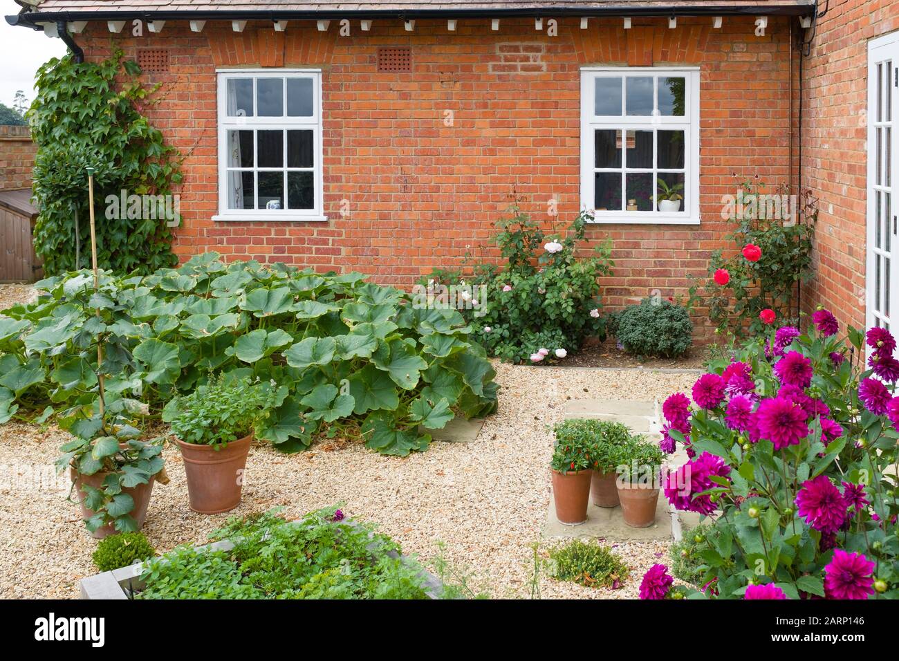 Jardin de légumes d'une maison victorienne en Angleterre Banque D'Images