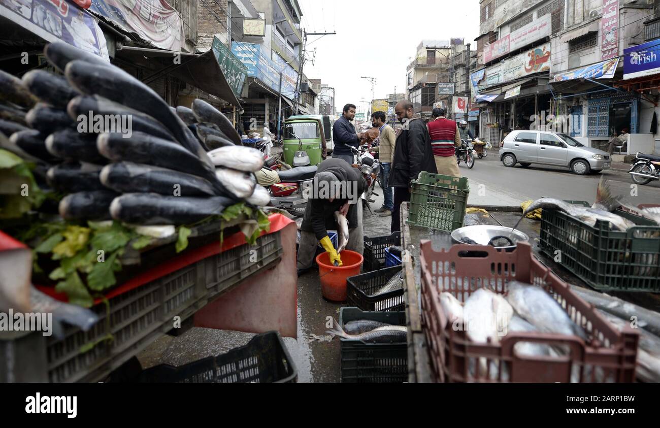 (200129) -- RAWALPINDI, 29 janvier 2020 (Xinhua) -- un vendeur nettoie les poissons sur un marché de poissons à Rawalpindi, Pakistan, 29 janvier 2020. (Xinhua/Ahmad Kamal) Banque D'Images
