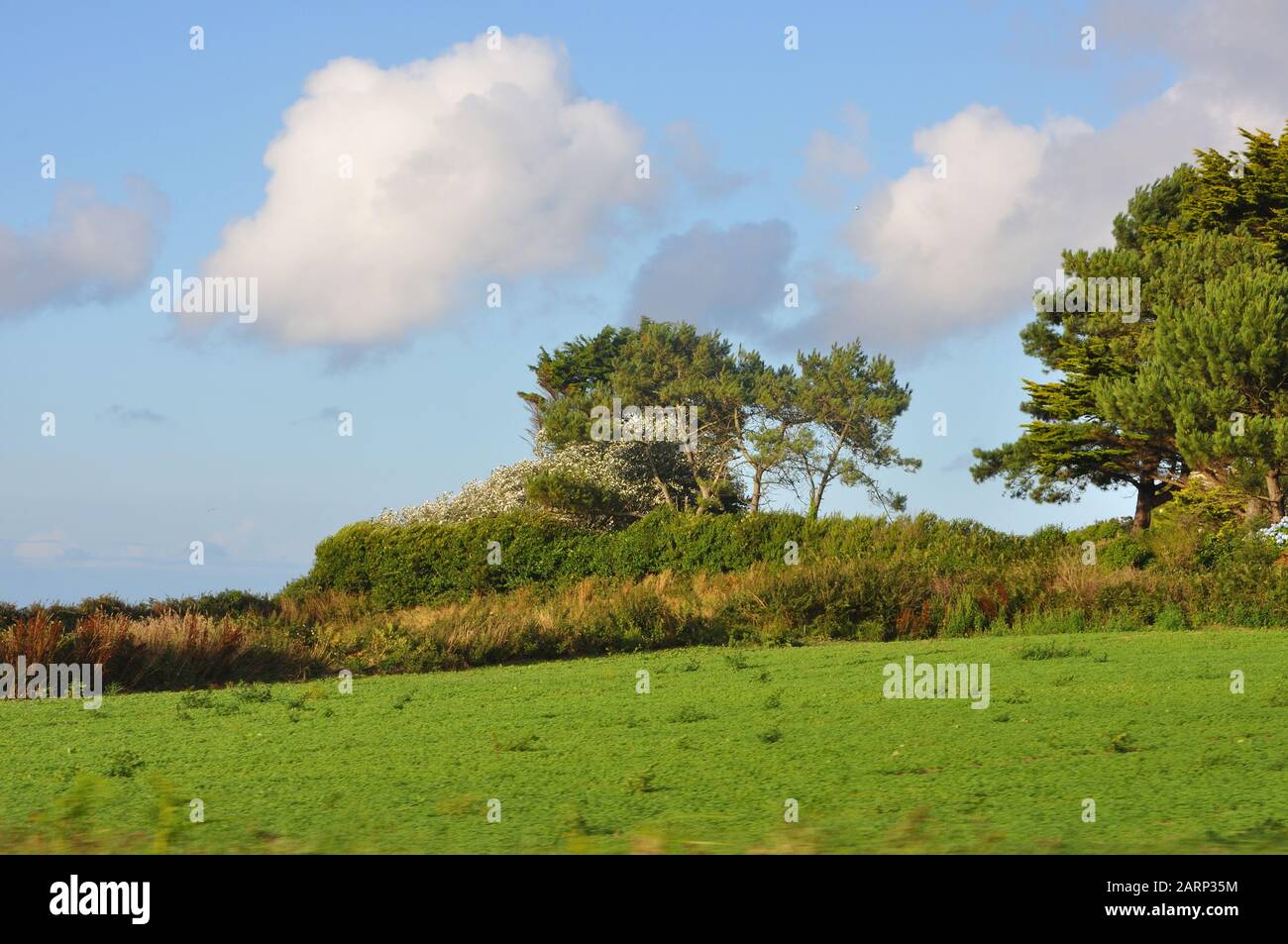 Découverte de la côte Bretagne, sillon de Talbert. Belle région de France Banque D'Images