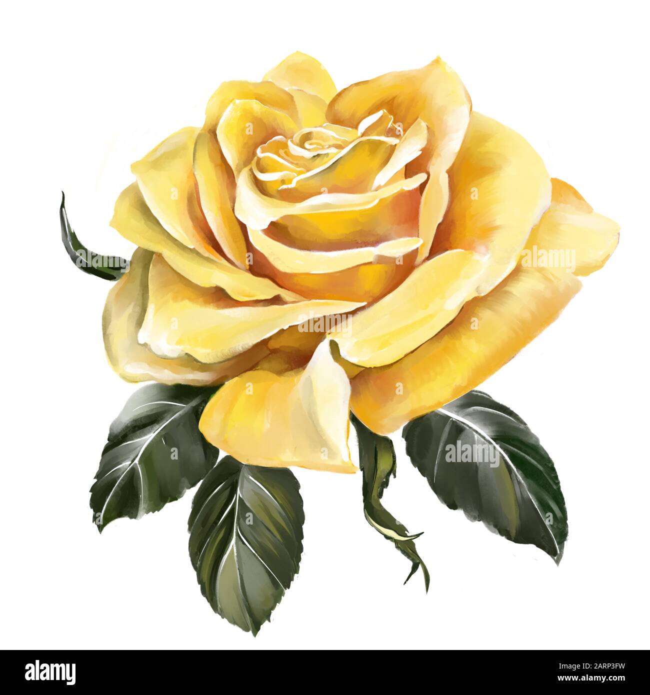 fleur rose jaune avec feuilles vertes, illustration d'art peinte avec des aquarelles isolées sur fond blanc. Banque D'Images