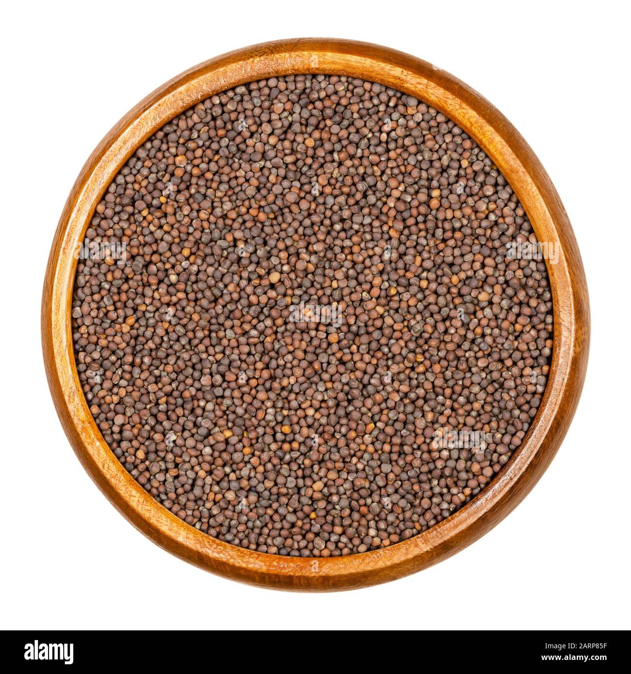 Graines de kale dans un bol en bois. Chou feuilles, un certain cultivar de chou, Brassica oleracea avec des feuilles comestibles. Grains pour l'acheminement. Banque D'Images