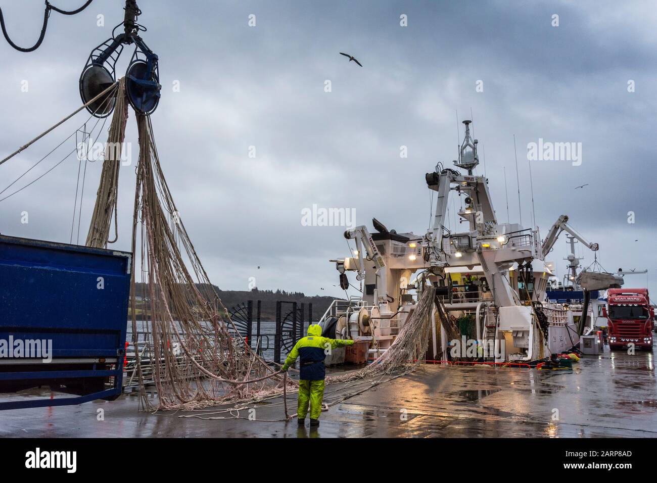 Killybegs, Comté de Donegal, Irlande. 29 janvier 2020. Les pêcheurs travaillent sur leurs filets de bateau par temps humide épouvantable, comme la Grande-Bretagne, pour présenter une loi visant à mettre fin aux droits de pêche automatiques de l'UE dans les eaux britanniques. L'accès futur au poisson dans les eaux britanniques serait une question pour le Royaume-Uni de négocier et de décider des règles que les navires étrangers doivent suivre. Banque D'Images