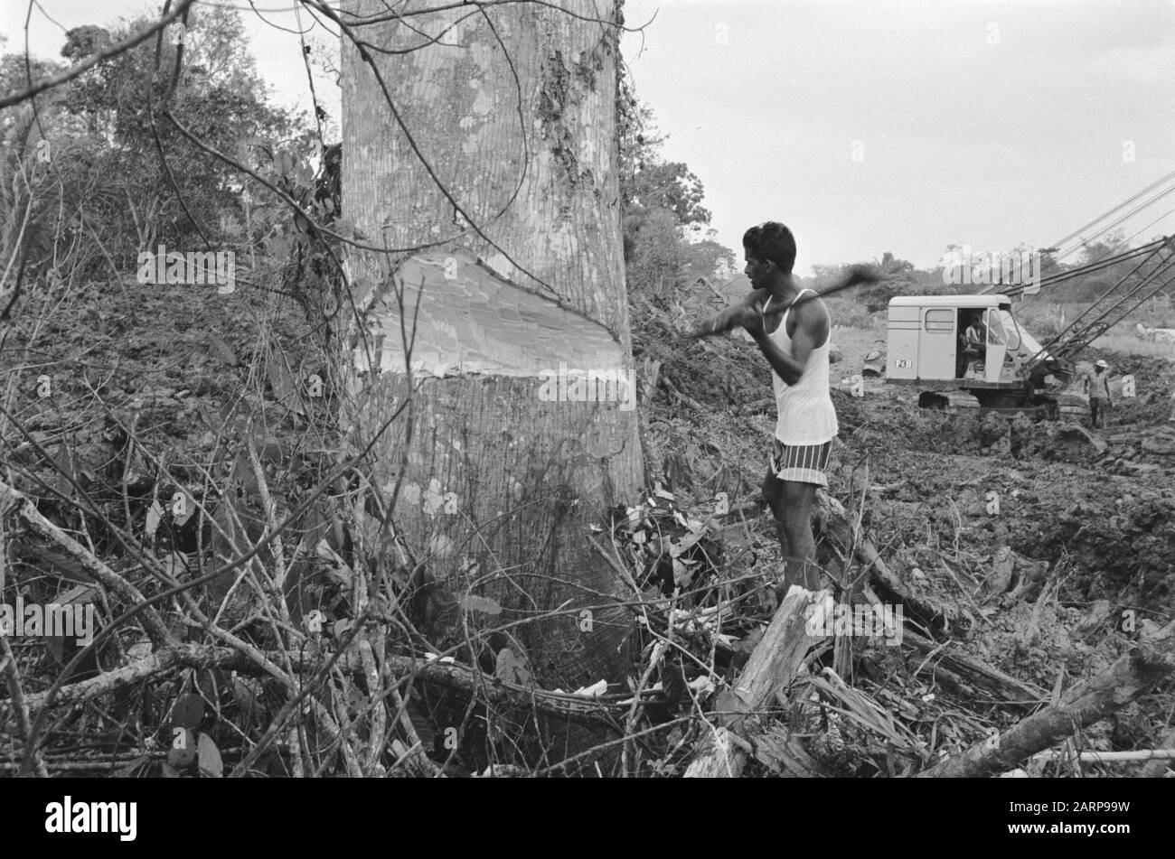 Draglines, travailleurs, couper les arbres Date: Non daté mots clés: Travailleurs, couper les arbres, draglines Banque D'Images