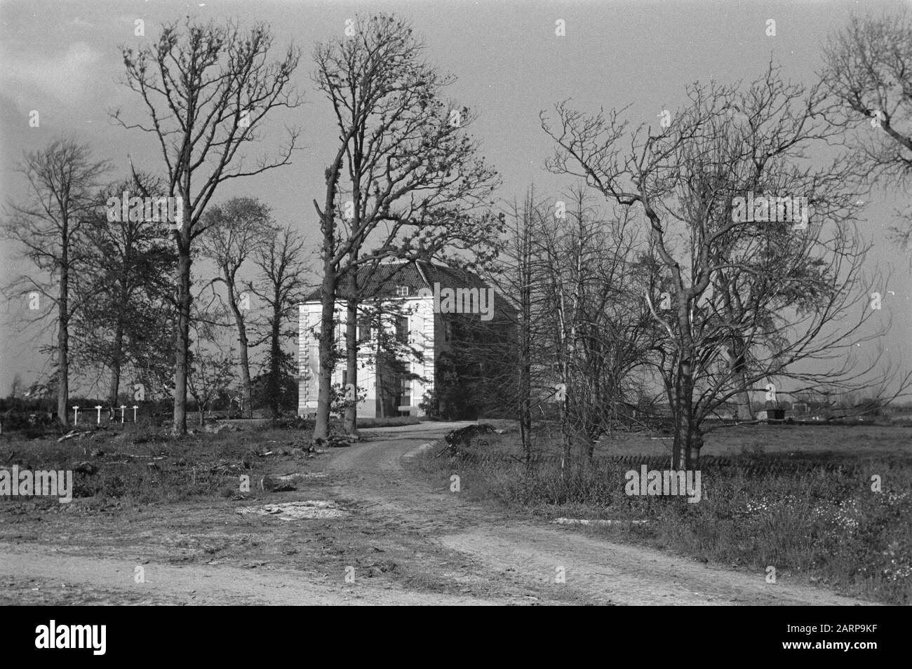 Mort Date: 1948 lieu: Zélande mots clés: Arbres, maisons de campagne Banque D'Images