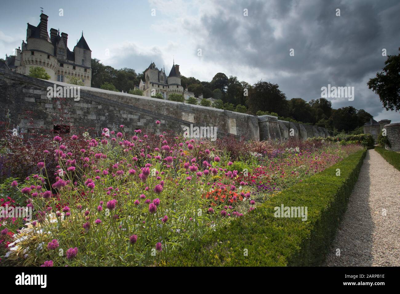 France, Indre et Loire, Vallée de la Loire classée au patrimoine mondial par l’UNESCO, Rigny Usse, les jardins du Château d’Usse, la terrasse inférieure et les plantes annuelles fleuries Banque D'Images
