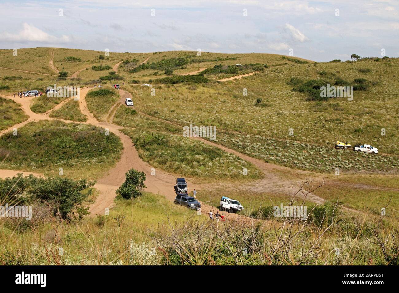 4 véhicules sur des routes de terre de brousse à proximité de la frontière sud-africaine, Mozambique. Banque D'Images