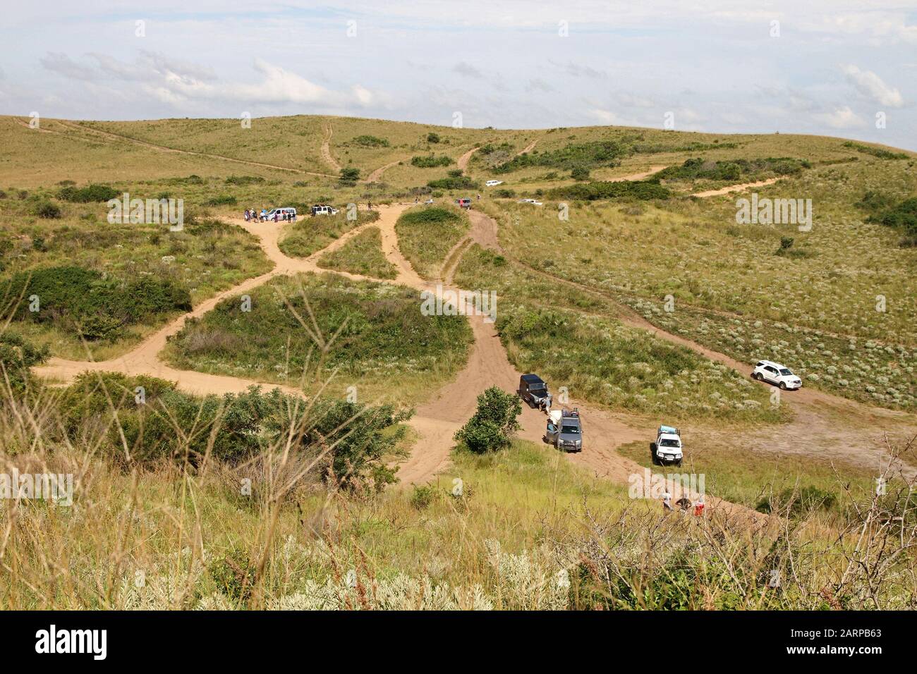 4 véhicules sur des routes de terre de brousse à proximité de la frontière sud-africaine, Mozambique. Banque D'Images