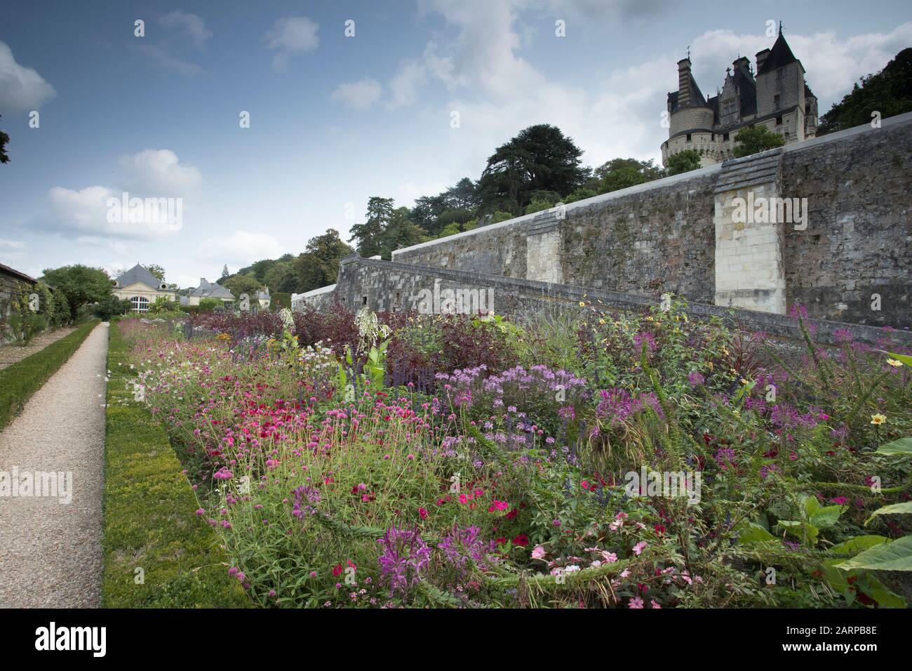France, Indre et Loire, Vallée de la Loire classée au patrimoine mondial par l’UNESCO, Rigny Usse, les jardins du Château d’Usse, la terrasse inférieure et les plantes annuelles fleuries Banque D'Images