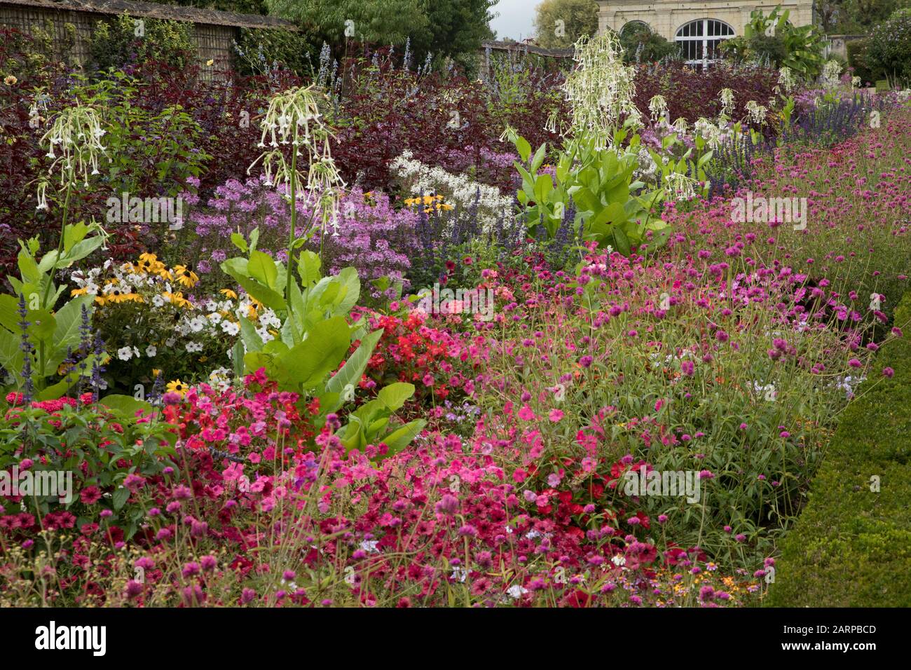 France, Indre et Loire, Vallée de la Loire classée au patrimoine mondial par l’UNESCO, Rigny Usse, les jardins du Château d’Usse, la terrasse inférieure et les plantes annuelles fleuries Banque D'Images