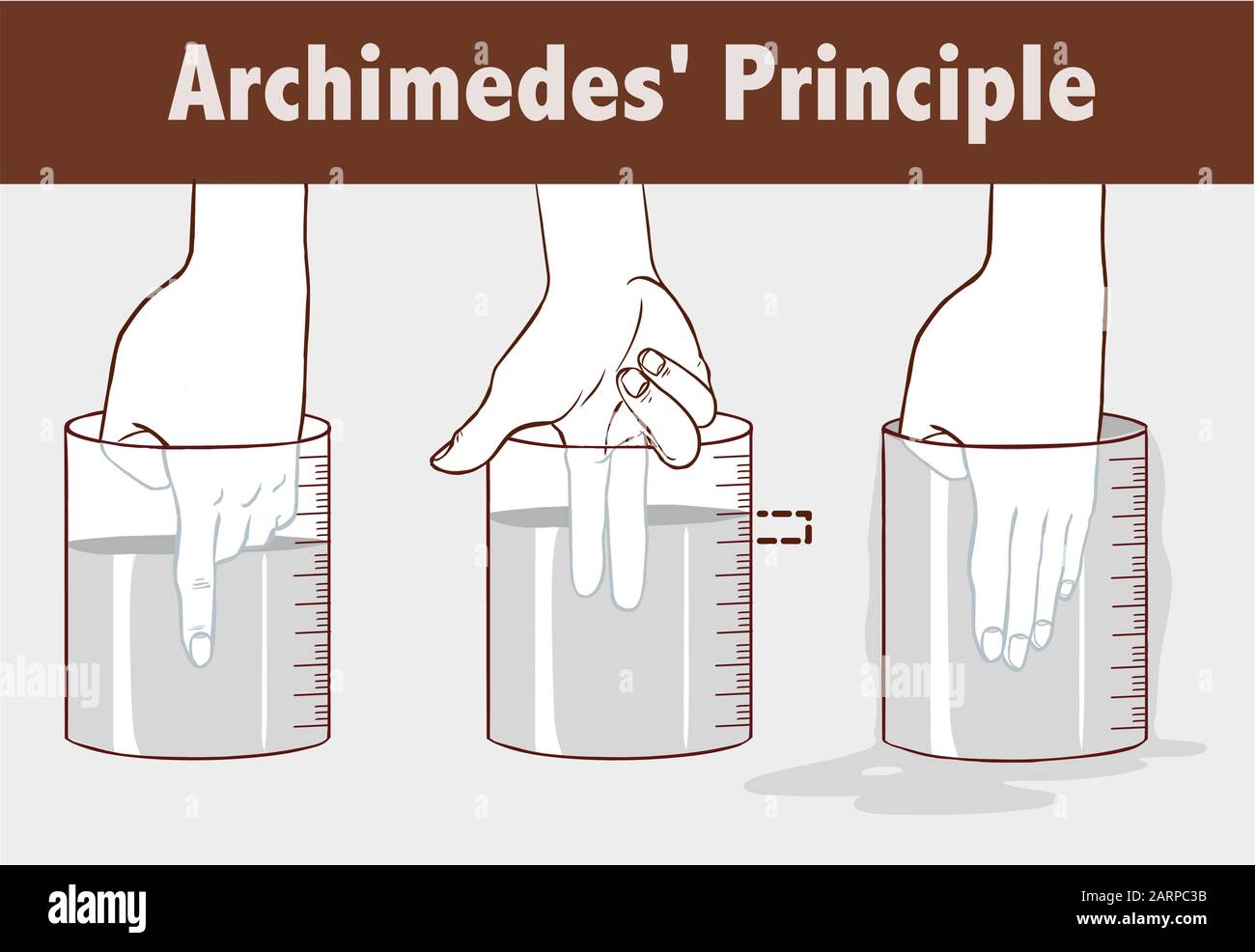 Illustration vectorielle De Principe d'Archimedes Illustration de Vecteur