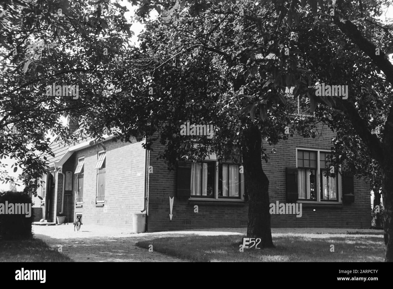 Services culturels à points fixes Huis te Eibergen (racks de consolidation des terres) Annotation: E-52 Arrow indique un point fixe Date: Juillet 1953 lieu: Eibergen mots clés: Consolidation des terres, ajustements des eaux de champ Banque D'Images Services culturels à points fixes Huis te Eibergen (racks de consolidation des terres) Annotation: E-52 Arrow indique un point fixe Date: Juillet 1953 lieu: Eibergen mots clés: Consolidation des terres, ajustements des eaux de champ Banque D'Images