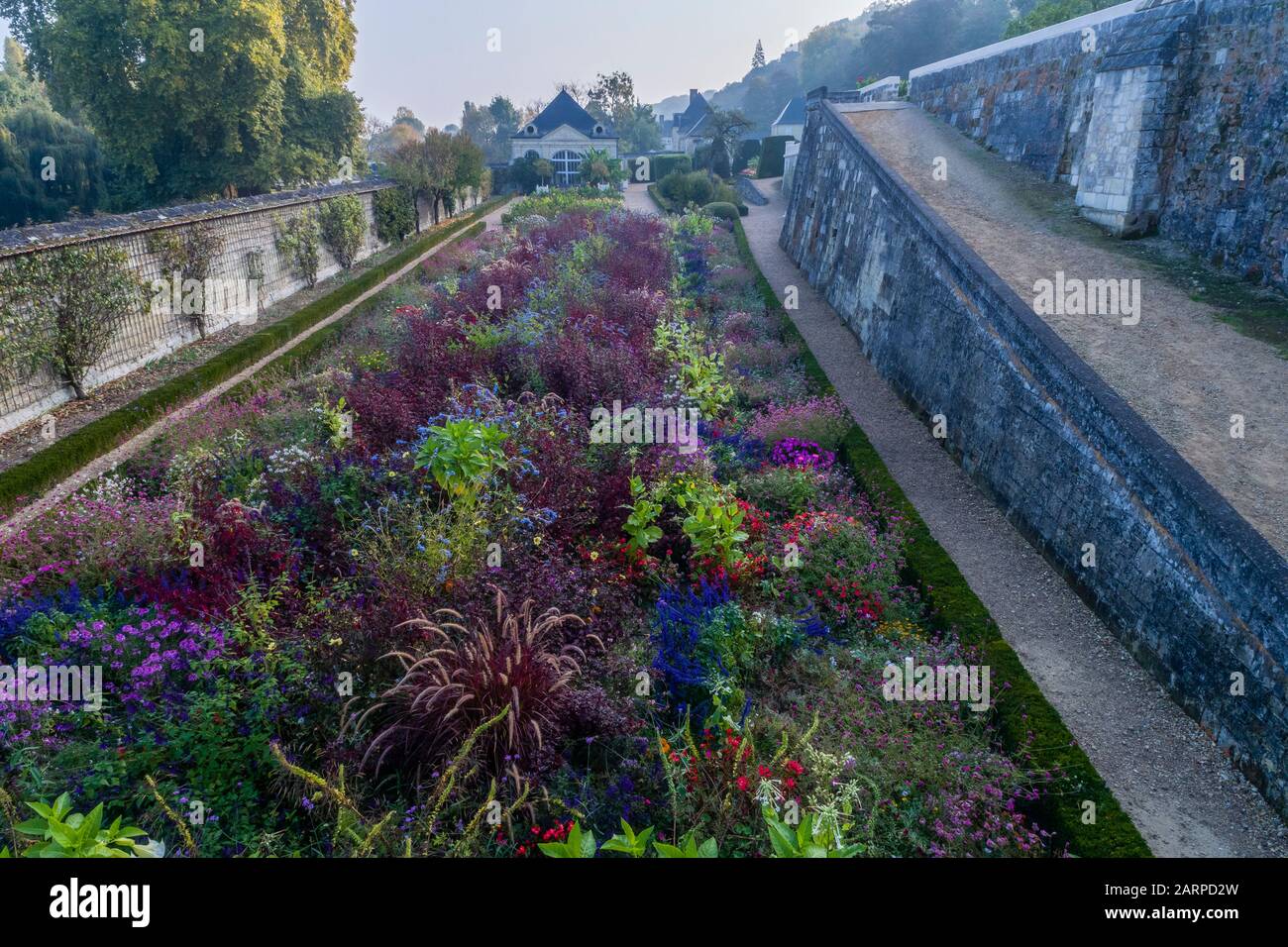 France, Indre et Loire, Vallée de la Loire classée au patrimoine mondial par l’UNESCO, Rigny Usse, les jardins du Château d’Usse, la terrasse inférieure et les plantes annuelles fleuries Banque D'Images