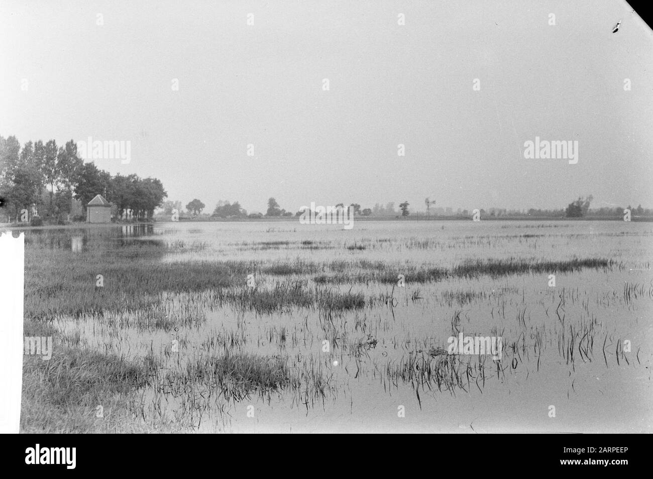 Waternuisance Om Meppel Date : 29 Août 1961 Lieu : Meppel Mots Clés : Wateround Banque D'Images
