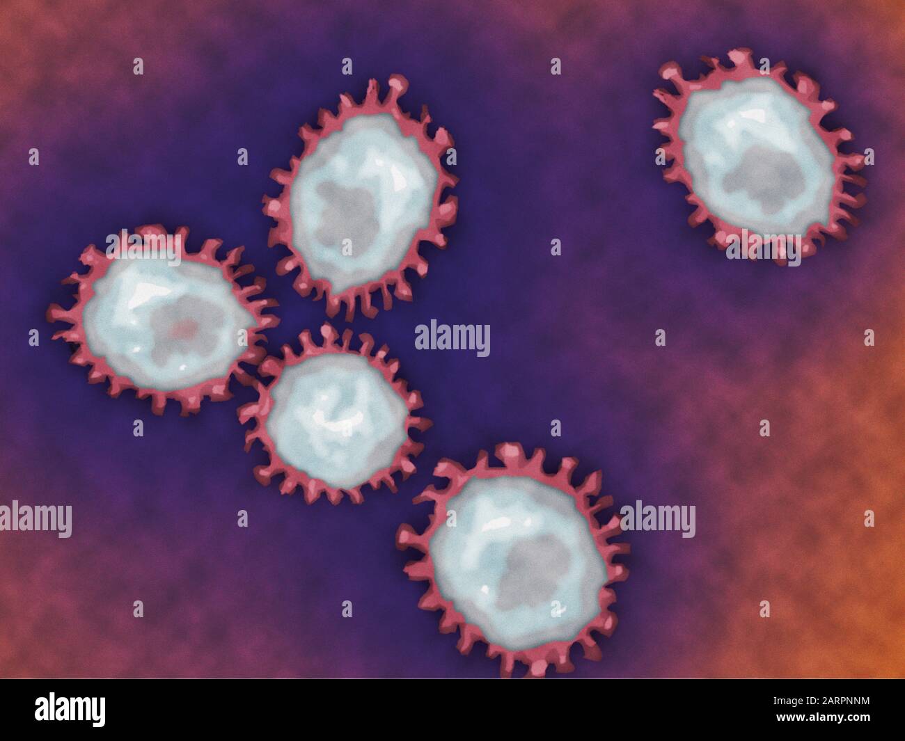 2019-nCoV Coronavirus gros plan Coronaviridae famille des virus Nidovirales, illustration de fond des pathogènes Banque D'Images