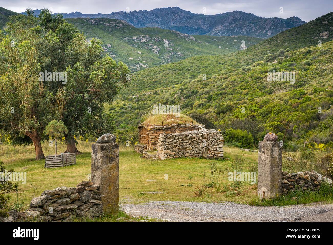 Cabane en pierre, ferme abandonnée dans les collines de la région de Nebbio, près de Saint-Florent, département de haute-Corse, Corse, France Banque D'Images