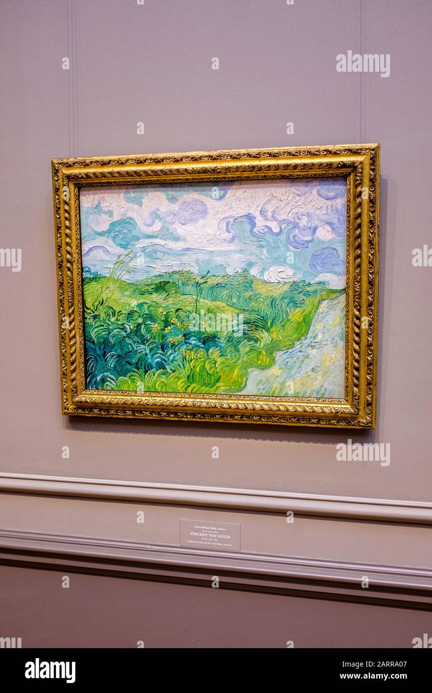 Huile encadrée sur toile, champs de blé vert par Vincent Van Gogh, accrochée à la National Gallery of Art de Washington D.C. Banque D'Images