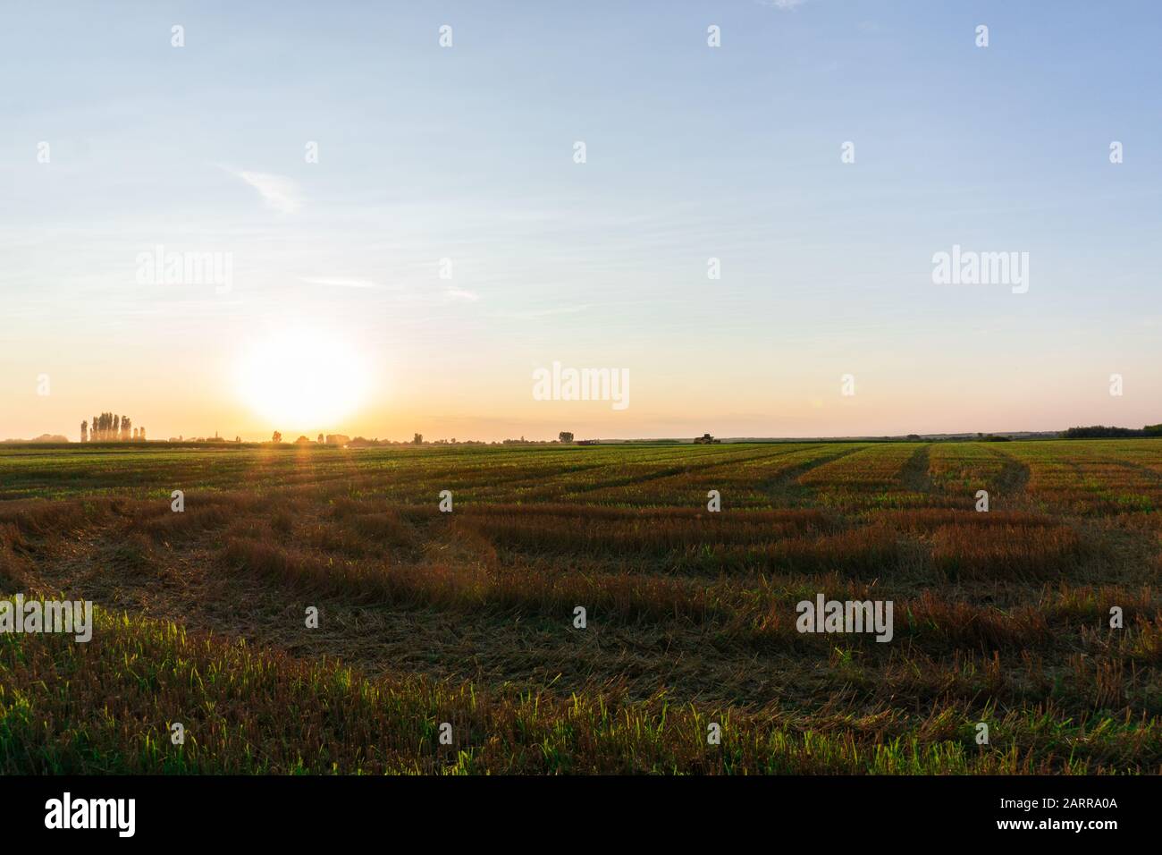 Les machines agricoles travaillent dans le champ au coucher du soleil Banque D'Images