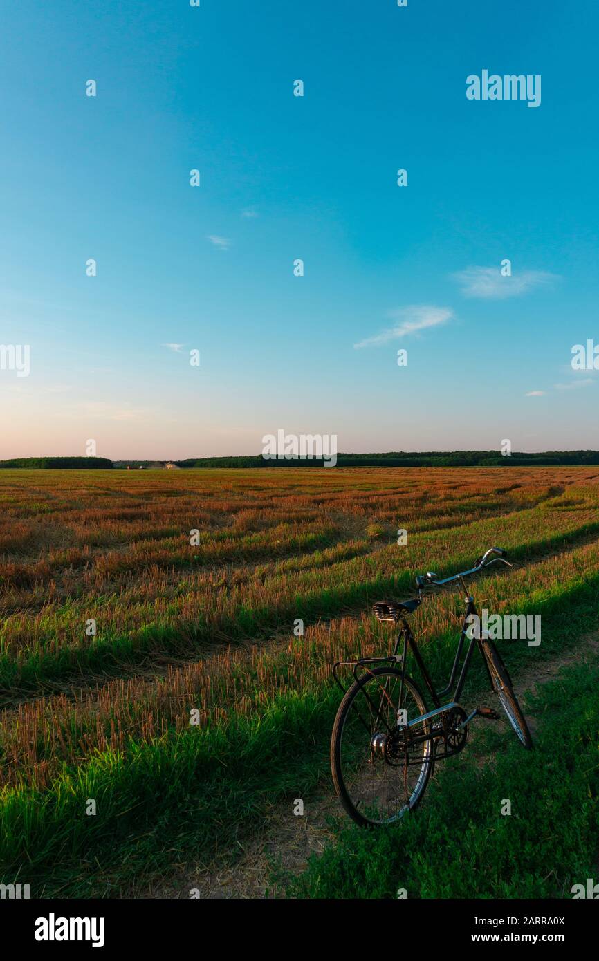 Vieux vélo noir vintage sur le terrain au coucher du soleil , paysage Banque D'Images