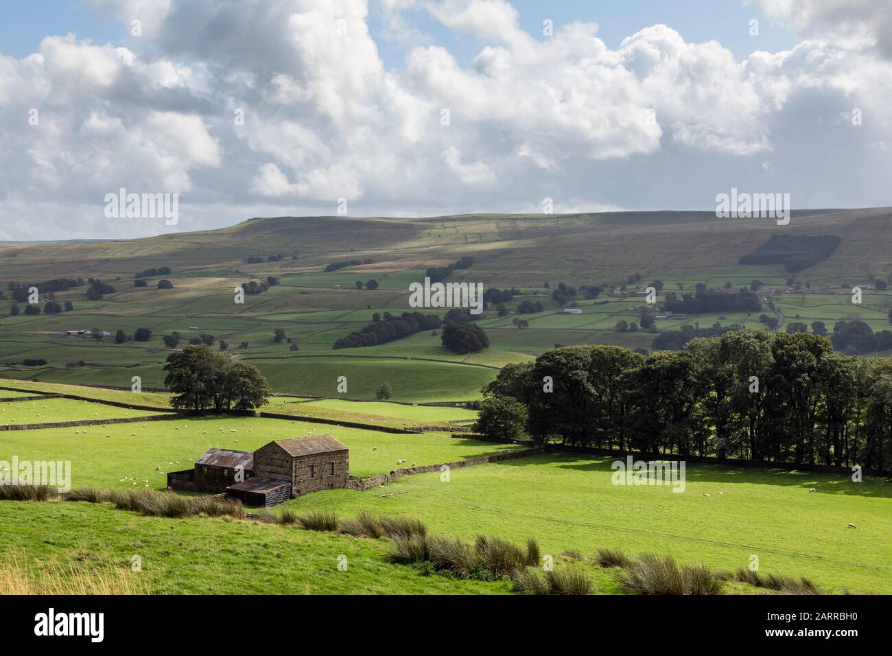 Une grange en pierre et des champs avec des moutons de pâturage - une vue typique des Yorkshire Dales à Wensleydale près du village de Sedbusk Banque D'Images