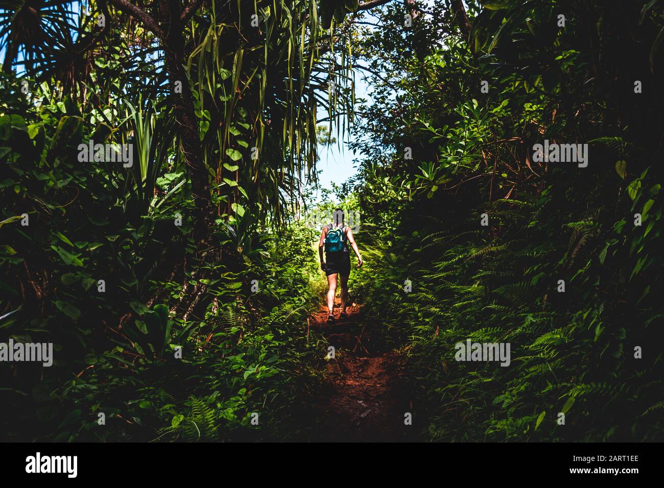 Randonnée sur le sentier de Kalalau Banque D'Images