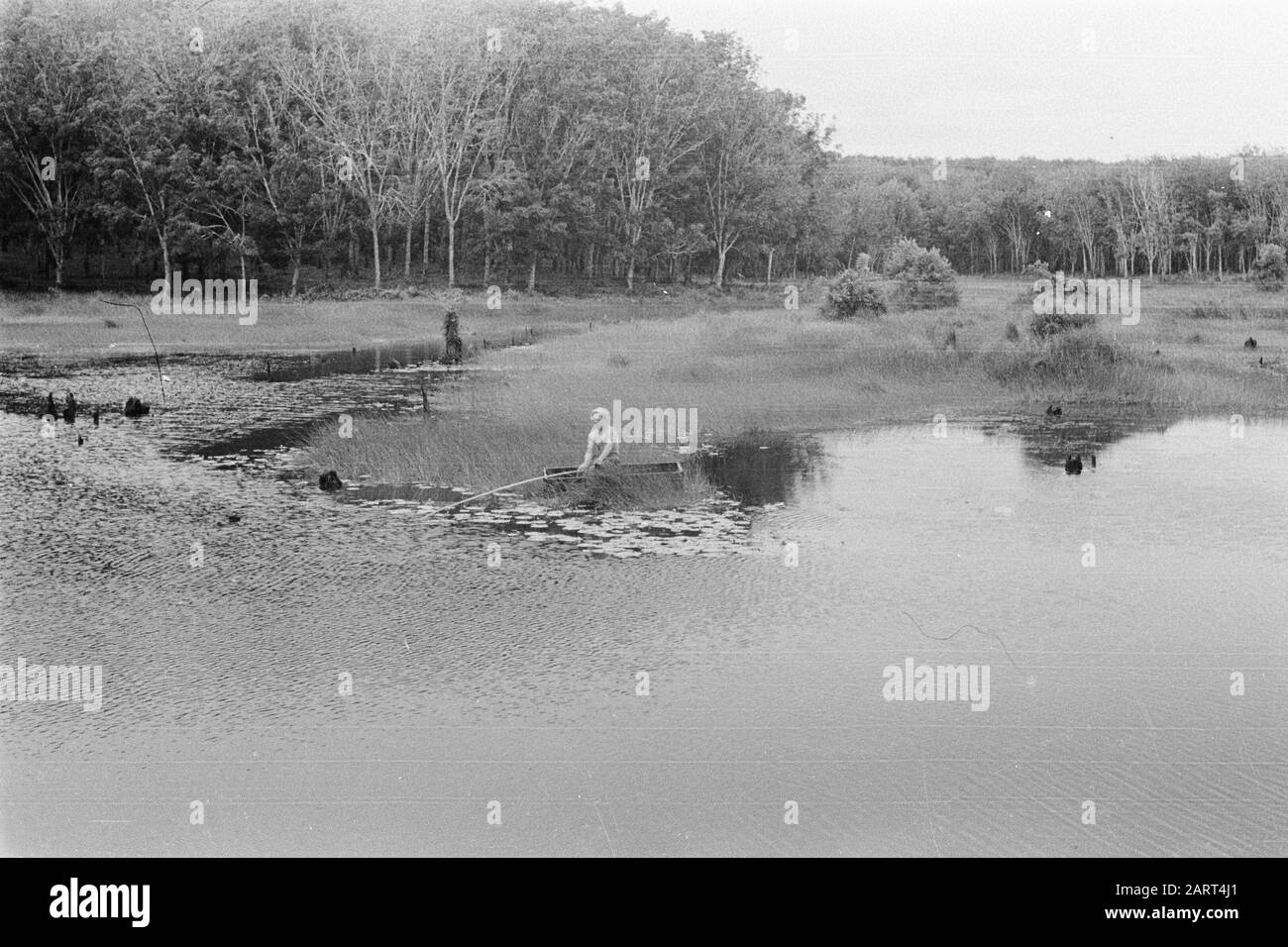 Pêche de soldat dans l'étang Date: Juillet 1947 lieu: Indonésie, Pays-Bas Antilles orientales Banque D'Images