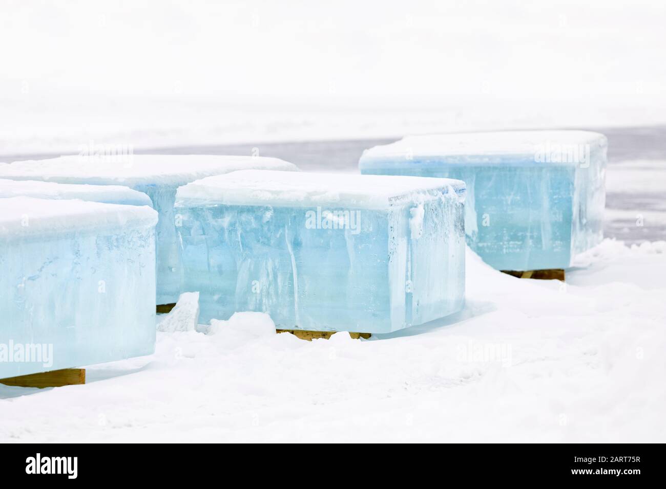 Récolte de blocs de glace d'eau douce, Manitoba, Canada. Banque D'Images