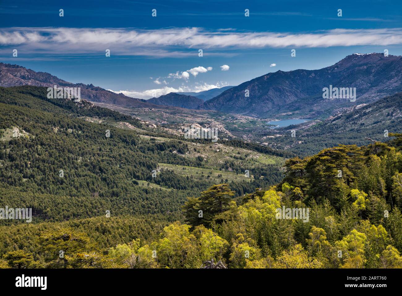 Vallée de la rivière Golo, lac Calacuccia, vue du Col de Vergio, passage de montagne sur la route D-84, département de Haute-Corse, Corse, France Banque D'Images