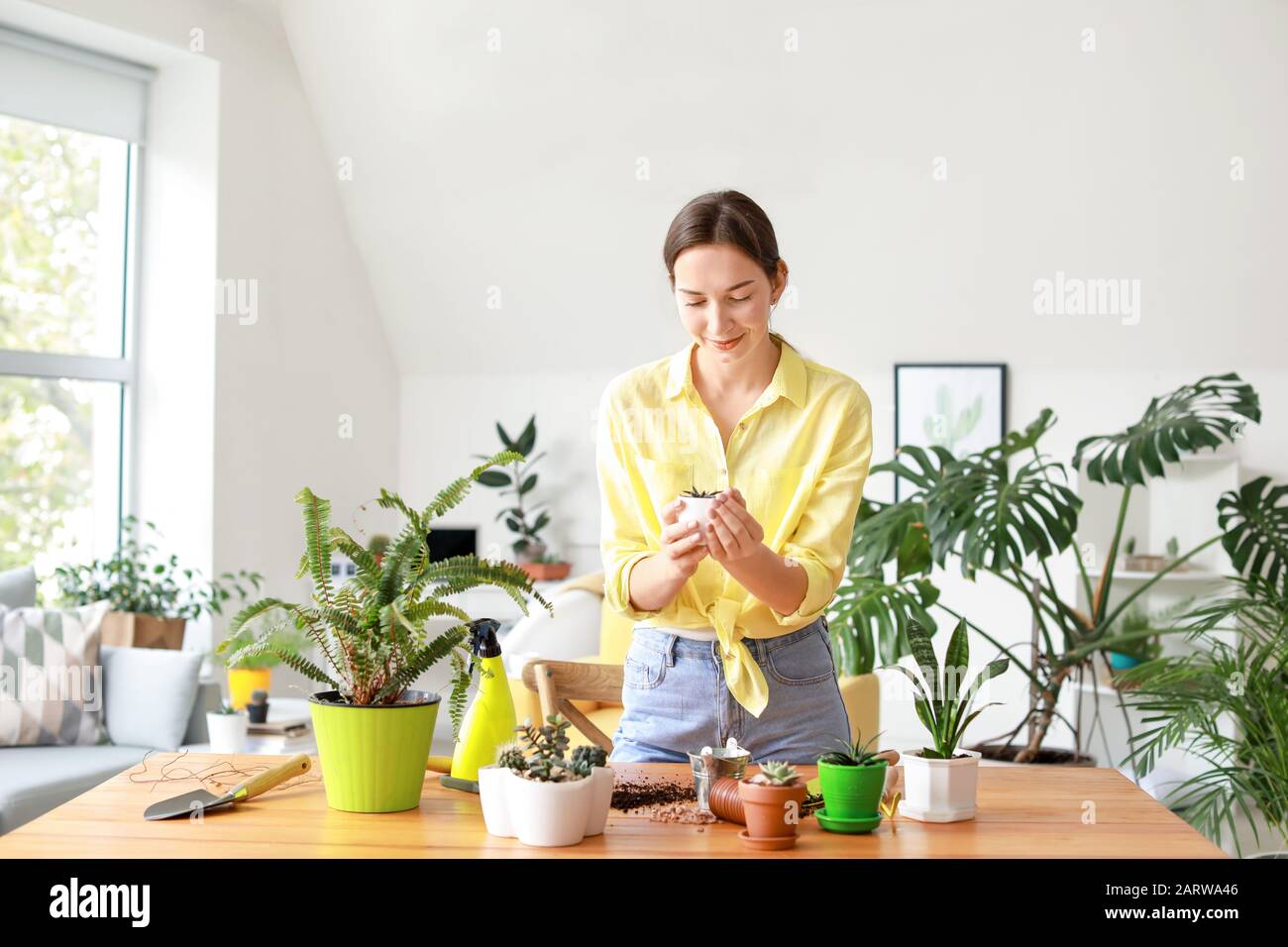 Jeune femme prenant soin des plantes à la maison Banque D'Images