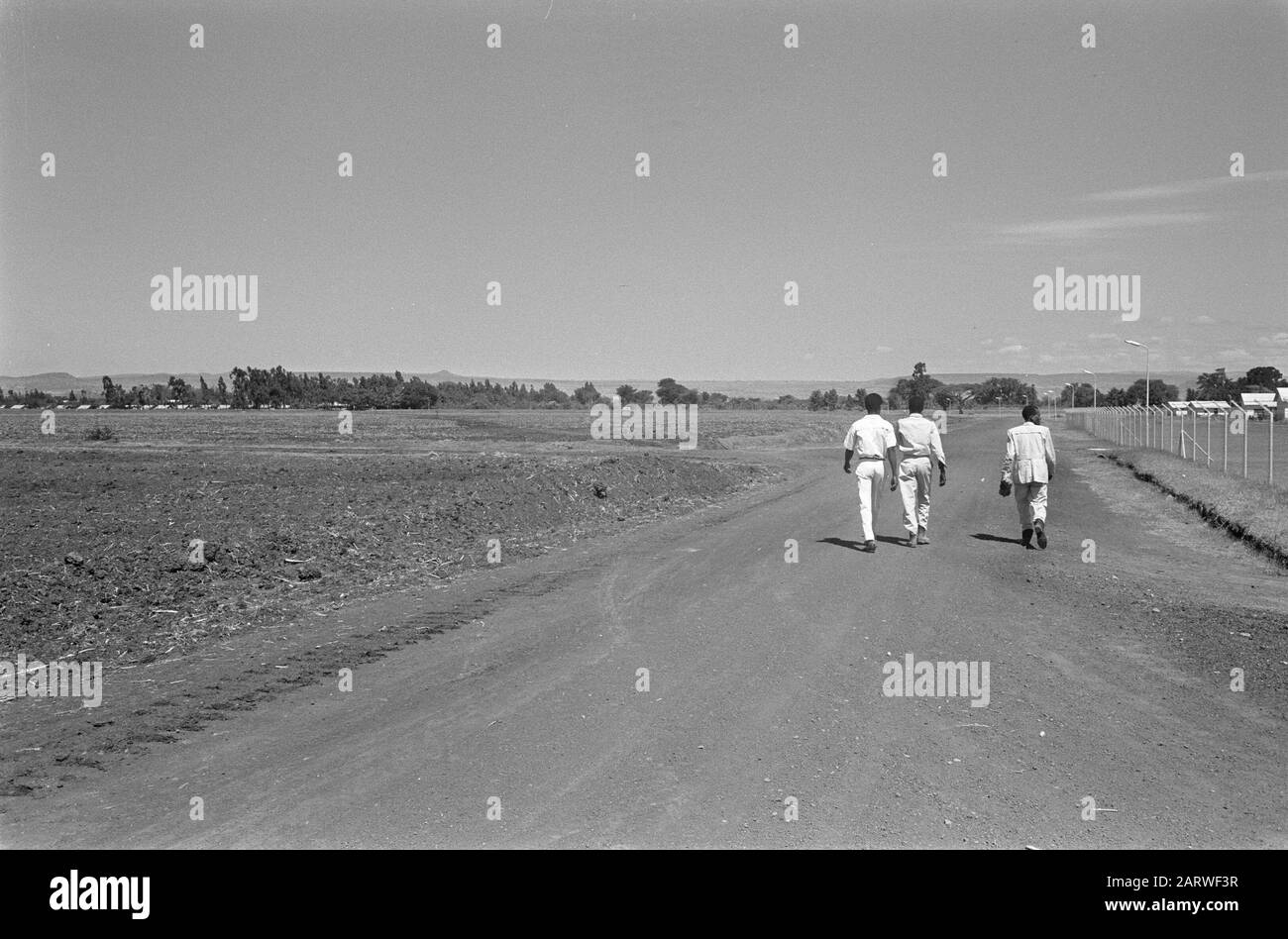 Plantation de canne à sucre de l'HVA à Wonji (Ethiopie) Date : 27 janvier 1969 lieu : Ethiopie, Wonji mots clés : plantations Banque D'Images
