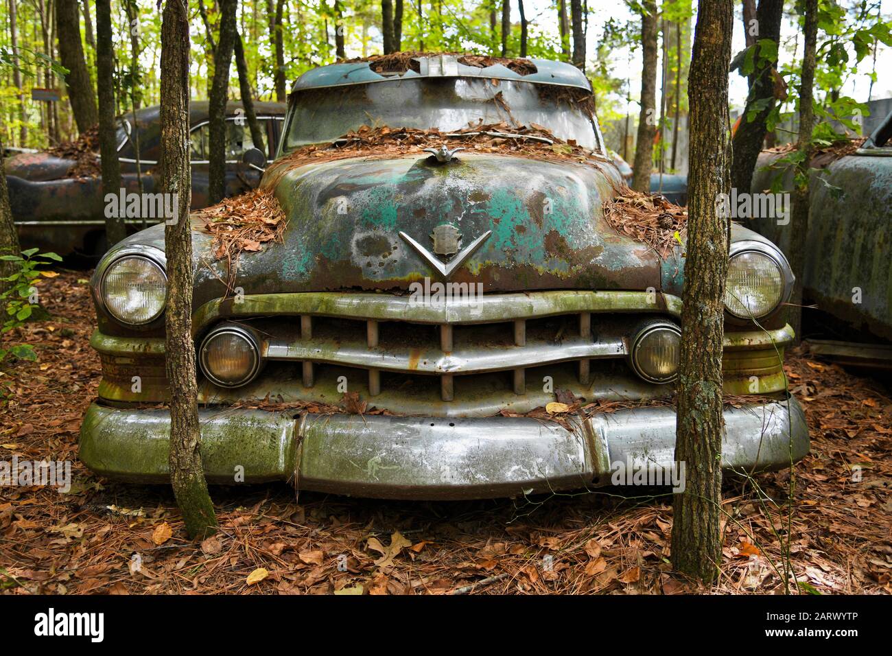 Blanc, GA / USA - 27 octobre 2018 - gros plan image du devant d'une vieille voiture de mise au rebut dans un jardin de Junkk Banque D'Images