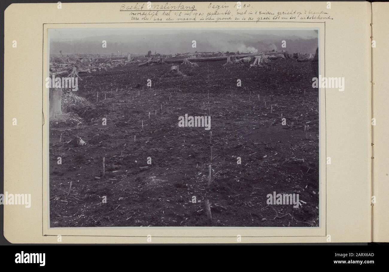 Album photo Deli Maatschappij: Entreprises Boekit Malintang/Aer Puetih plantation de thé à la compagnie Boekit Malintang à Sumatra. En arrière-plan la combustion des champs Annotation: Inscription: Boekit Malintang planté début 1920 partie nord de h en 1920, avec une vue sur la combustion dans le sud. Ce thé était un mois dans le sol et a grandi jusqu'à présent excellent Date: 1930 lieu: Boekit Malintang, Bukit Malintang, Sumatra mots clés: Brûlures, Plantations, thé Banque D'Images