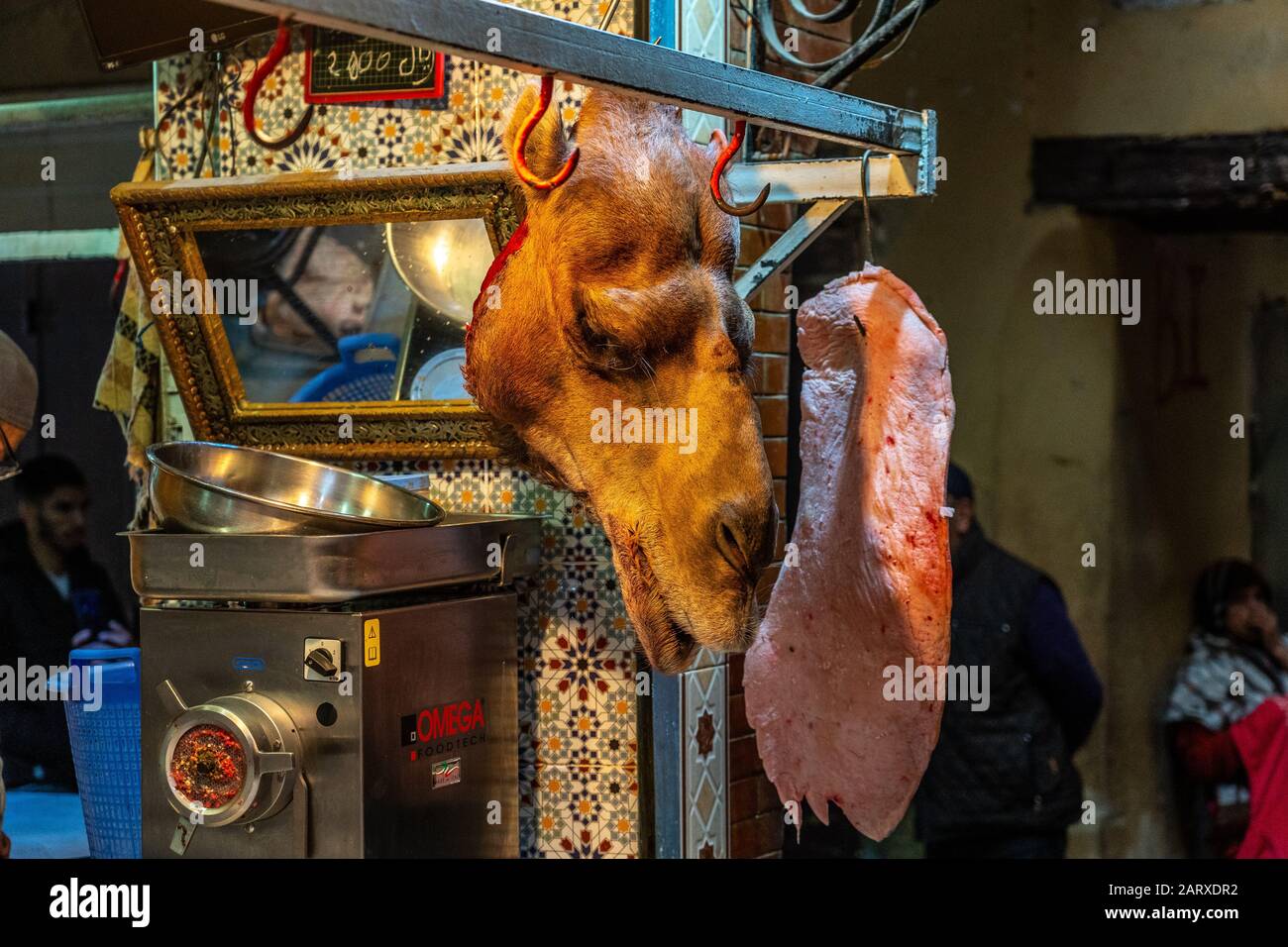 Meknes, Maroc - Camel Head en vente sur le marché local Banque D'Images