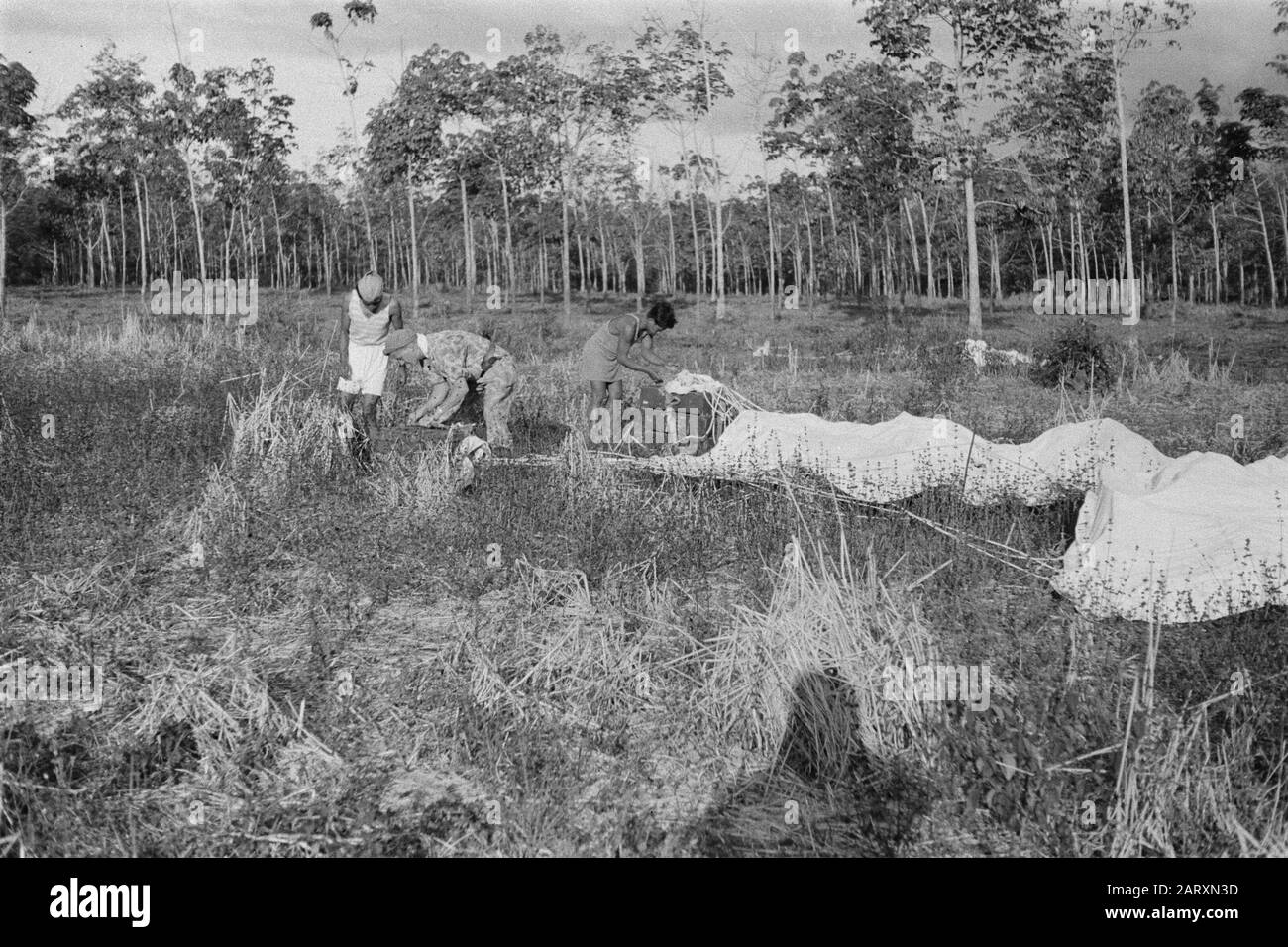 Secteur Bandoeng [avion de transport jetant des marchandises pour le parachute] La chute de l'offre est recueillie Date: 21 juillet 1947 lieu: Bandoeng, Indonésie, Java, Pays-Bas-Indies Banque D'Images