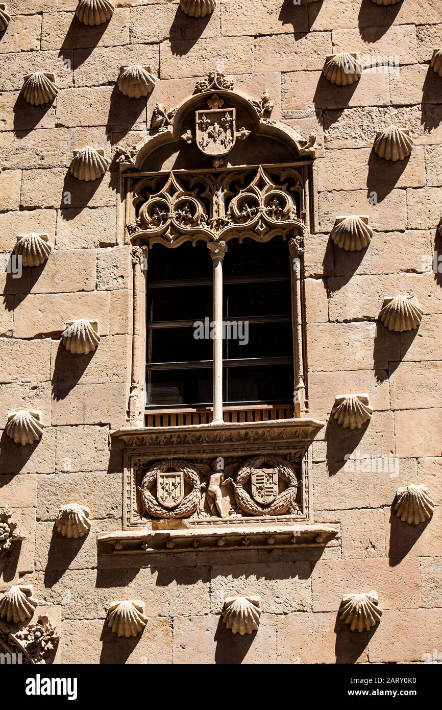 Détail des fenêtres de la Maison historique des Shells construite en 1517 par Rodrigo Arias de Maldonado chevalier de l'ordre de Saint-Jacques-de-Compostelle Banque D'Images