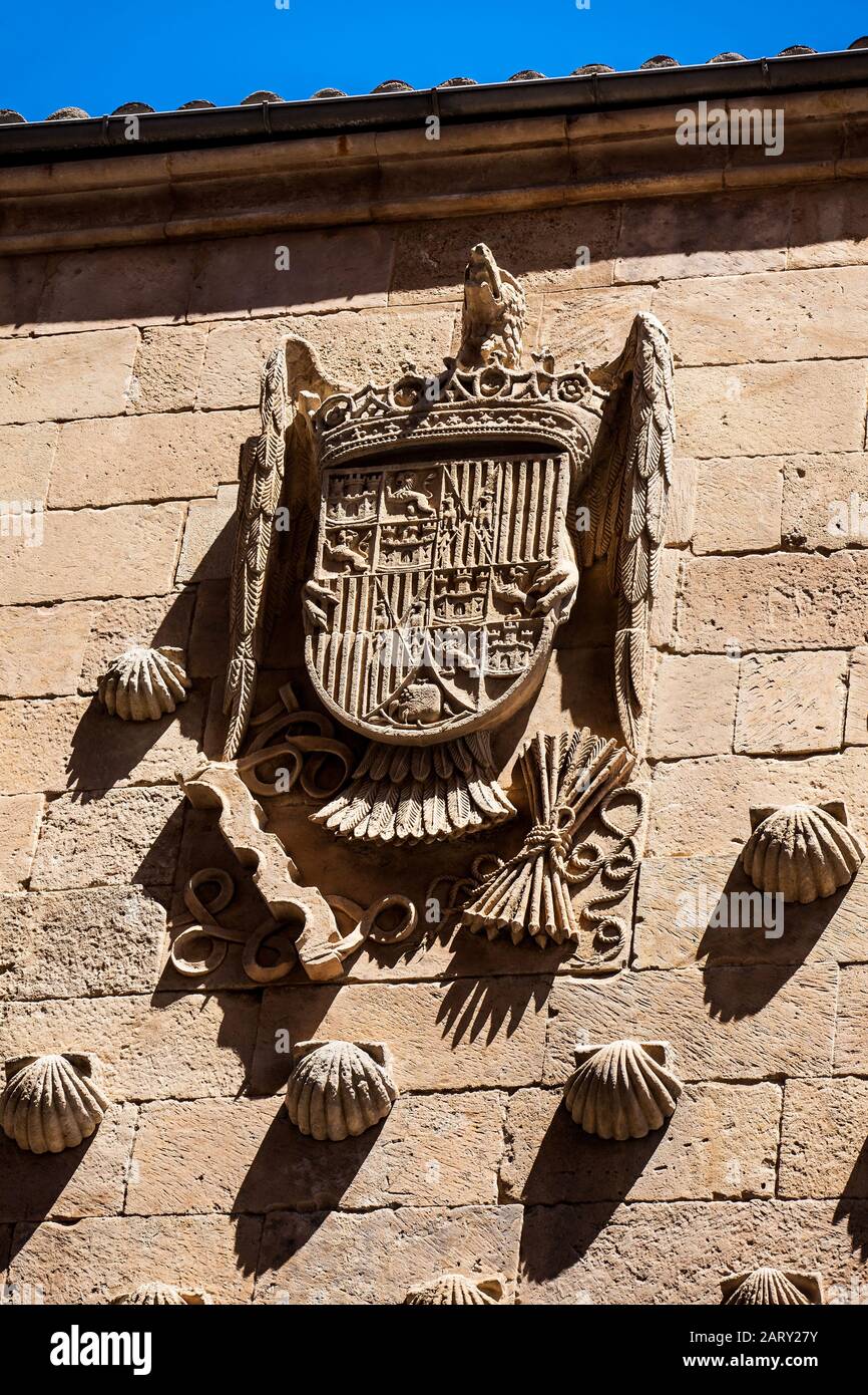 Détail des décorations sur la façade de la Maison historique des Shells construite en 1517 par Rodrigo Arias de Maldonado chevalier de l'ordre de Santiago Banque D'Images