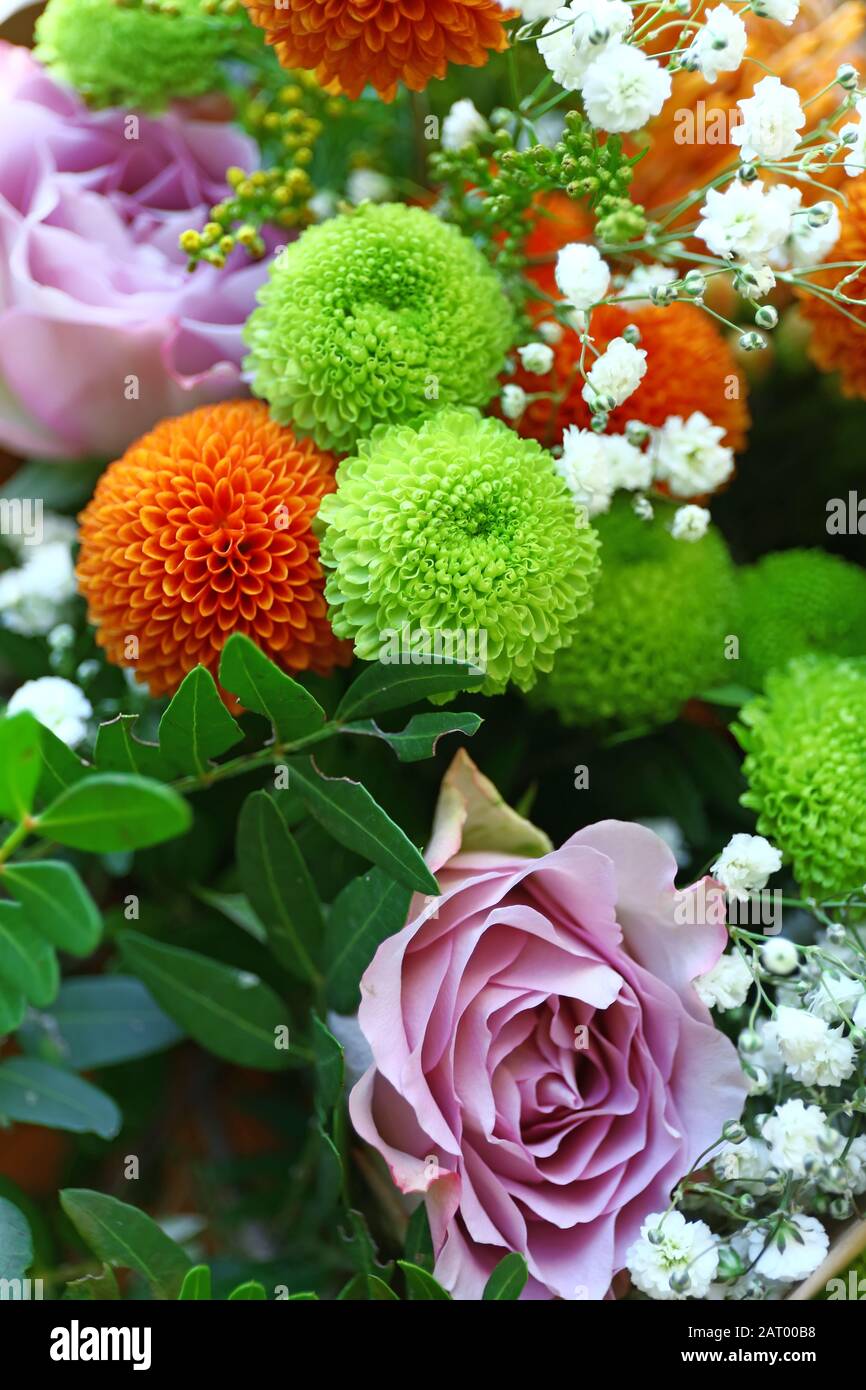 Bouquet de belles fleurs fraîches, à proximité Banque D'Images