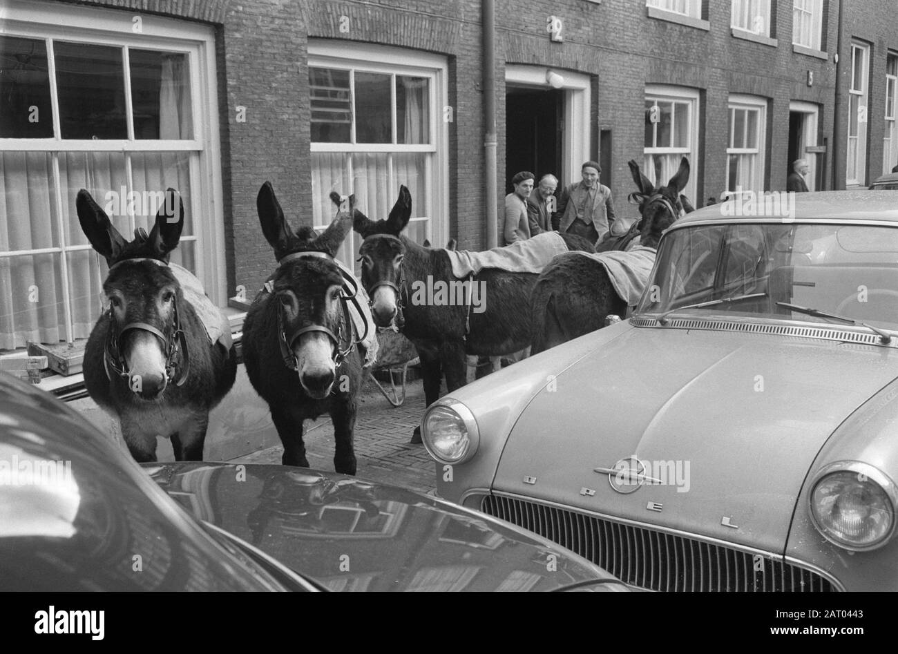 Don Quichotte (Tom Kelling) À Amsterdam Date : 15 Mars 1962 Lieu : Amsterdam, Noord-Holland Nom Personnel : Don Quichotte, Kelling, Tom Banque D'Images
