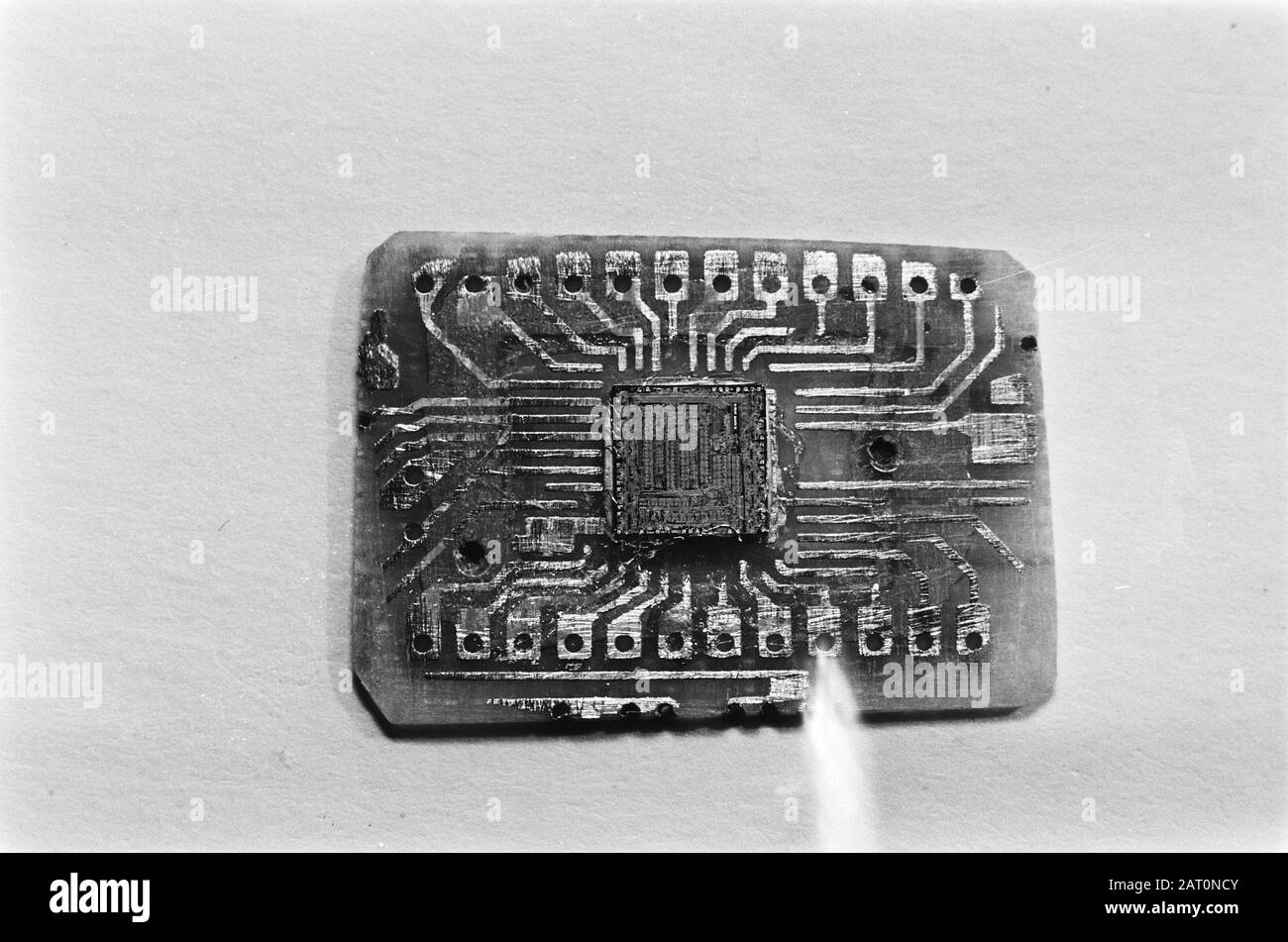 Une puce (de la montre) à la main. La puce Date: 2 avril 1982 mots clés: Chips Banque D'Images