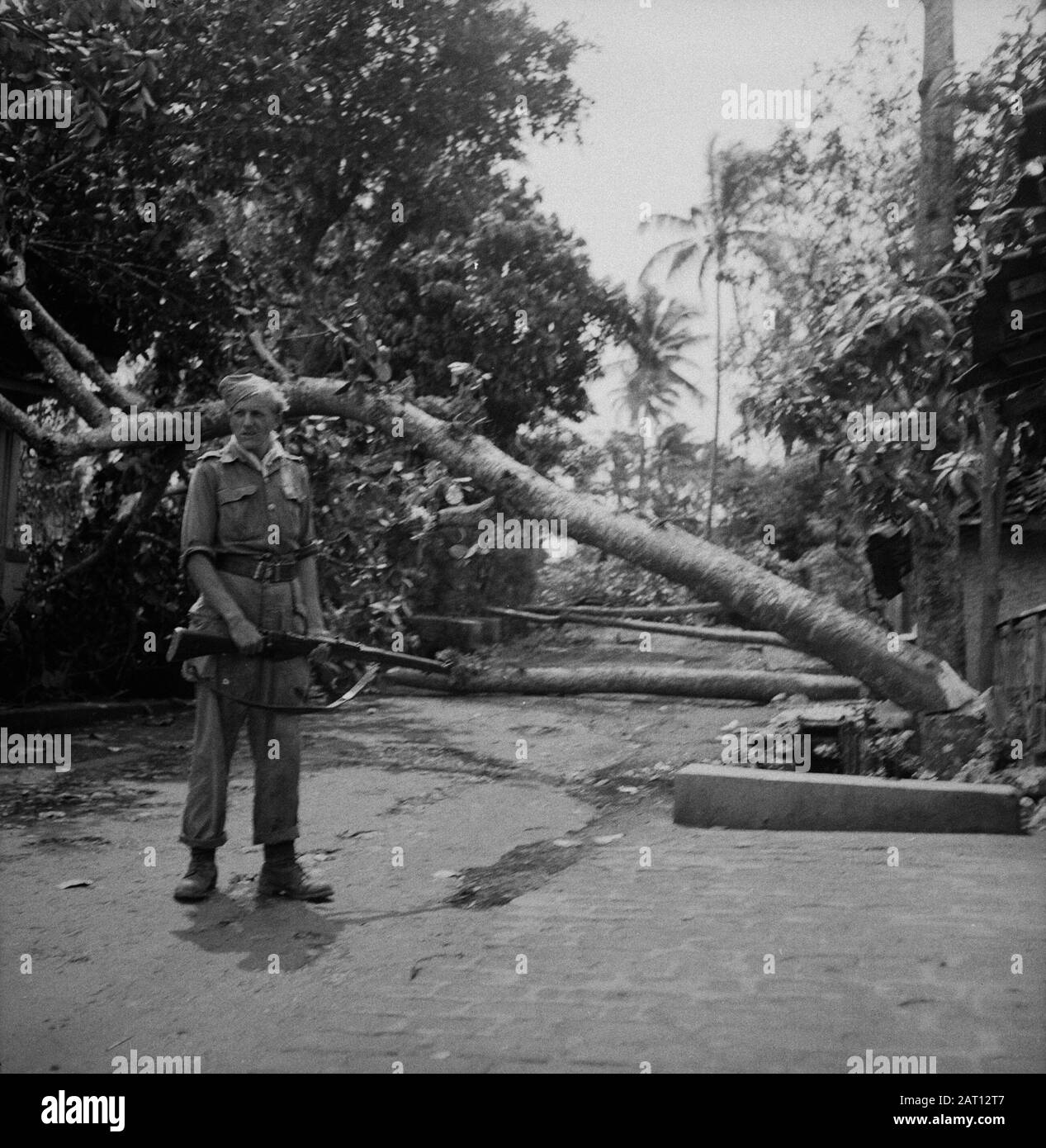 Advance A-Division [un soldat représente une rangée d'arbres hachés en retraitant les troupes de l'INT] Annotation: Secteur de Malang Date: 21 décembre 1948 lieu: Indonésie, Antilles néerlandaises Banque D'Images