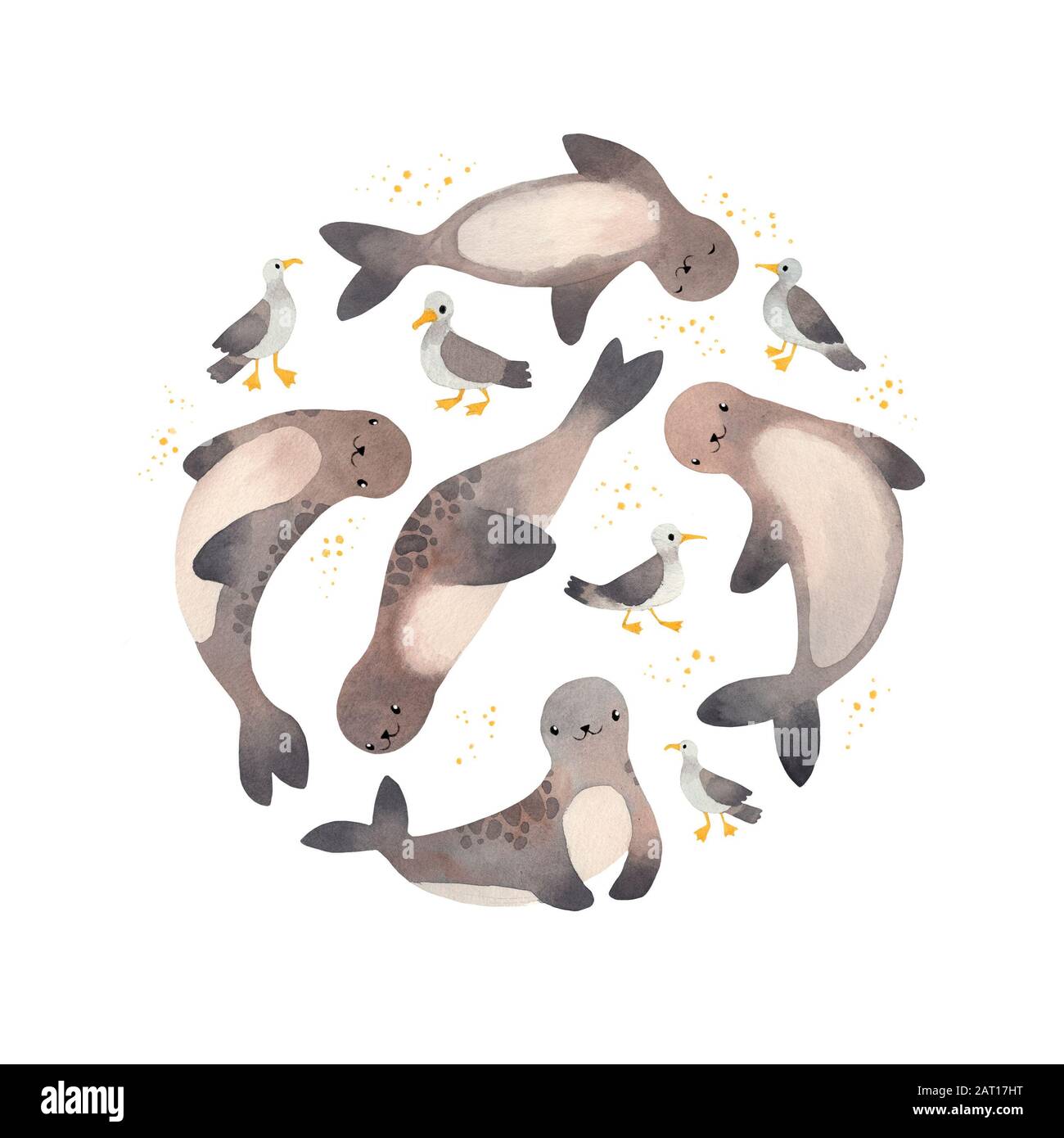 Modèle rond avec joint d'étanchéité et mouettes Banque D'Images