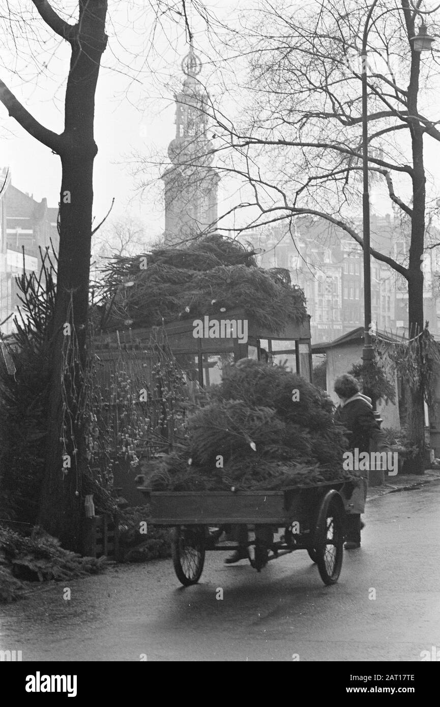 Premiers arbres de Noël sur le marché des fleurs à Amsterdam Date: 8 décembre 1959 lieu: Amsterdam, Noord-Holland mots clés: CHRISTREES, marchés des fleurs Banque D'Images