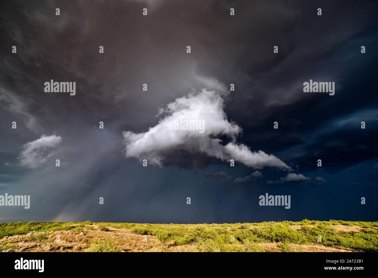 Paysage pittoresque avec des nuages d'orage sombre et inquiétant dans le ciel d'un orage Benson, Arizona Banque D'Images