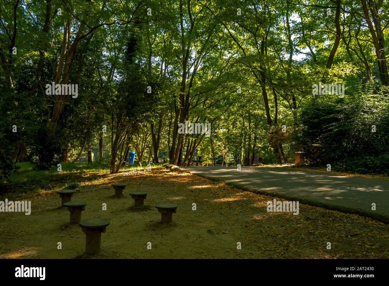 Parque da Lavandeira situé à Oliveira do Douro, Vila Nova de Gaia, Portugal. Idéal pour les balades, les aires de pique-nique et les jardins thématiques. Banque D'Images